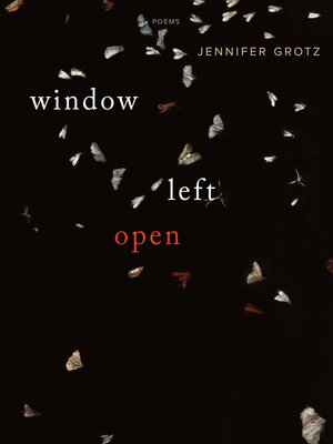 cover image of Window Left Open
